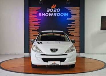 207 2014 (1)
